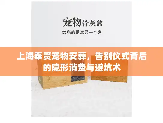 上海奉贤宠物安葬，告别仪式背后的隐形消费与避坑术