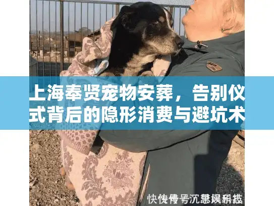 上海奉贤宠物安葬，告别仪式背后的隐形消费与避坑术