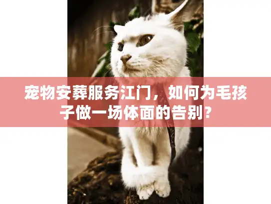 宠物安葬服务江门，如何为毛孩子做一场体面的告别？