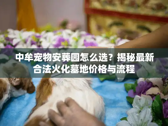 中牟宠物安葬园怎么选？揭秘最新合法火化墓地价格与流程