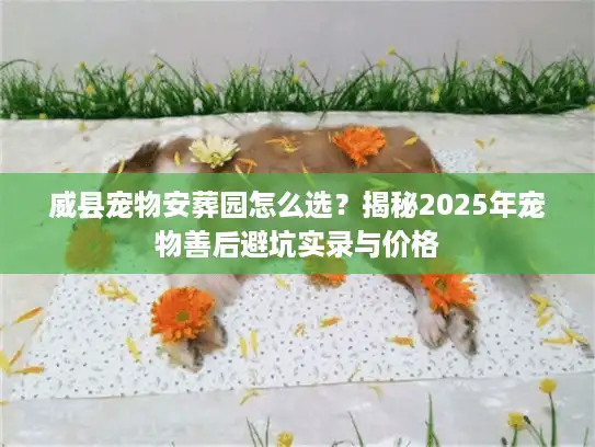 威县宠物安葬园怎么选？揭秘2025年宠物善后避坑实录与价格