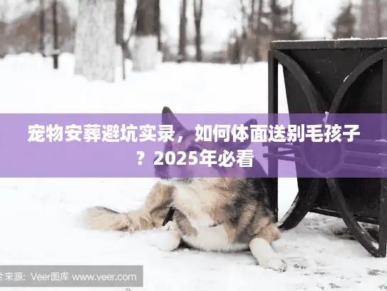 宠物安葬避坑实录，如何体面送别毛孩子？2025年必看