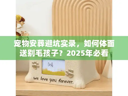 宠物安葬避坑实录，如何体面送别毛孩子？2025年必看