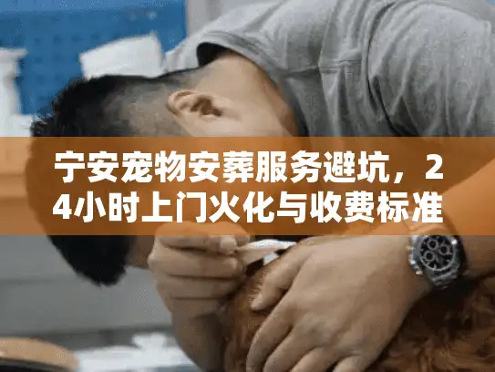宁安宠物安葬服务避坑，24小时上门火化与收费标准