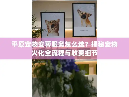 平原宠物安葬服务怎么选？揭秘宠物火化全流程与收费细节