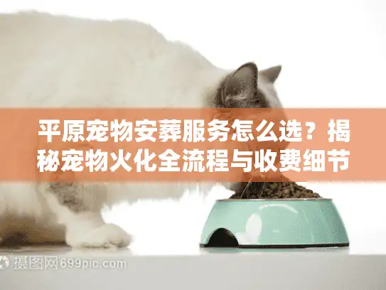平原宠物安葬服务怎么选？揭秘宠物火化全流程与收费细节