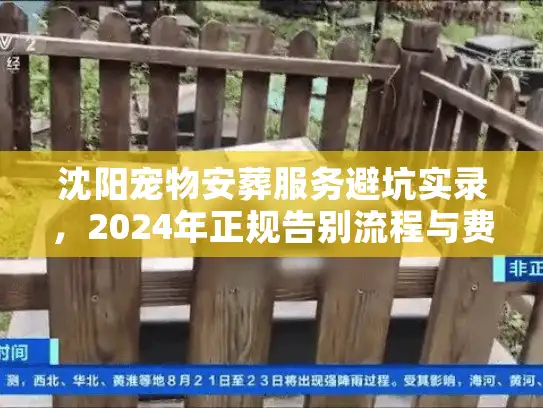 沈阳宠物安葬服务避坑实录，2024年正规告别流程与费用
