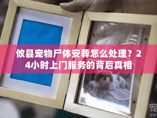 攸县宠物尸体安葬怎么处理？24小时上门服务的背后真相