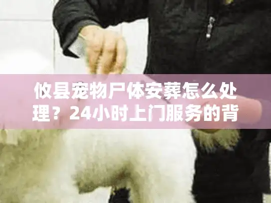 攸县宠物尸体安葬怎么处理？24小时上门服务的背后真相