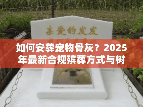 如何安葬宠物骨灰？2025年最新合规殡葬方式与树葬费用全解