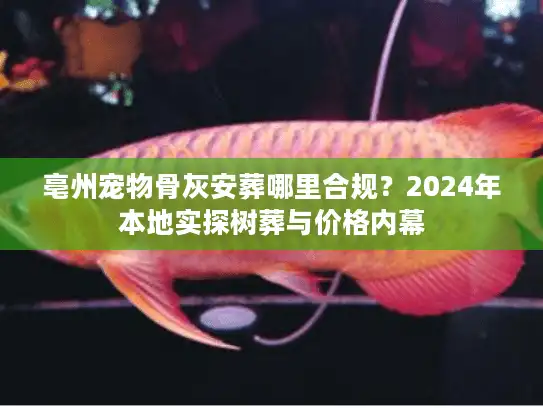 亳州宠物骨灰安葬哪里合规？2024年本地实探树葬与价格内幕