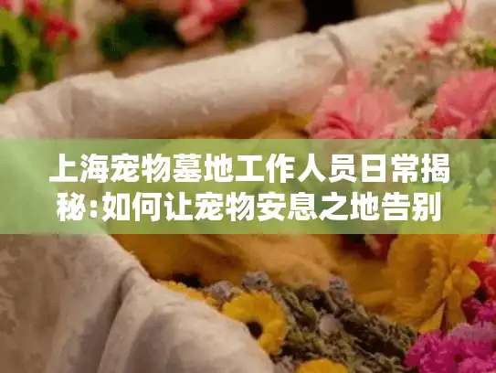 上海宠物墓地工作人员日常揭秘:如何让宠物安息之地告别冰冷?