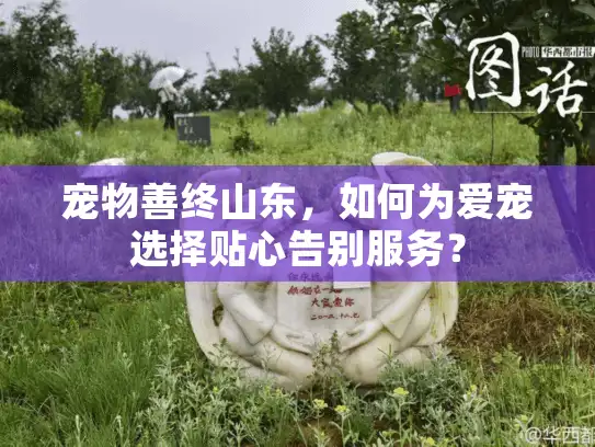 宠物善终山东，如何为爱宠选择贴心告别服务？