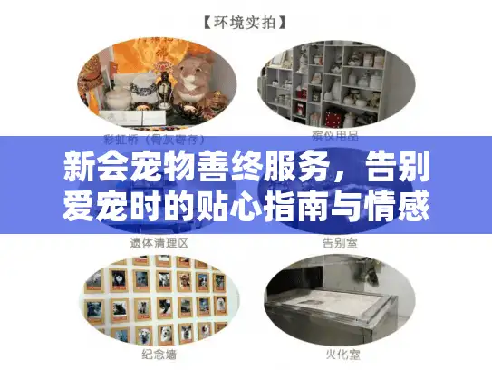 新会宠物善终服务，告别爱宠时的贴心指南与情感慰藉