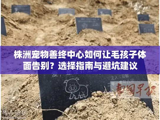 株洲宠物善终中心如何让毛孩子体面告别？选择指南与避坑建议