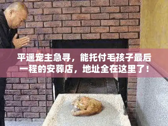 平遥宠主急寻，能托付毛孩子最后一程的安葬店，地址全在这里了！