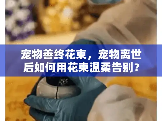 宠物善终花束，宠物离世后如何用花束温柔告别？