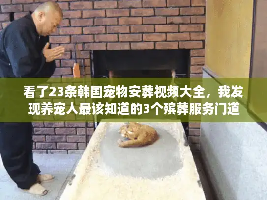 看了23条韩国宠物安葬视频大全，我发现养宠人最该知道的3个殡葬服务门道