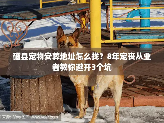 磁县宠物安葬地址怎么找？8年宠丧从业者教你避开3个坑