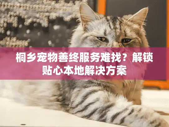 桐乡宠物善终服务难找？解锁贴心本地解决方案