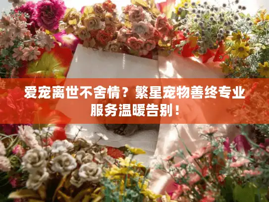 爱宠离世不舍情？繁星宠物善终专业服务温暖告别！