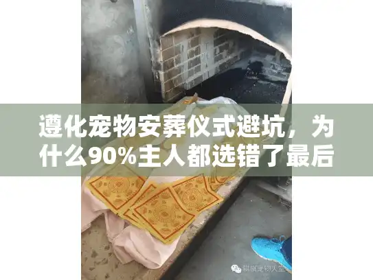 遵化宠物安葬仪式避坑，为什么90%主人都选错了最后一程的打开方式？
