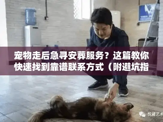 宠物走后急寻安葬服务？这篇教你快速找到靠谱联系方式（附避坑指南）