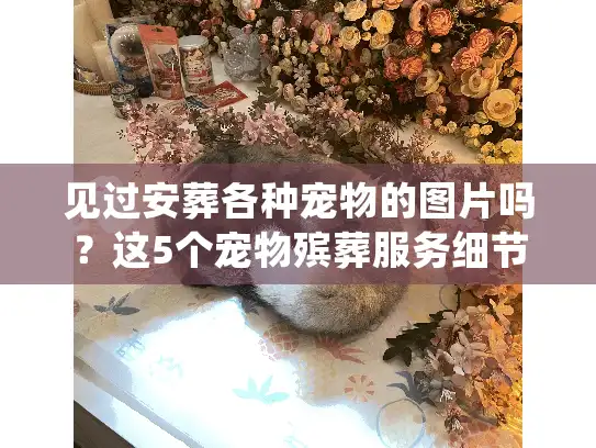 见过安葬各种宠物的图片吗？这5个宠物殡葬服务细节90%的人没注意