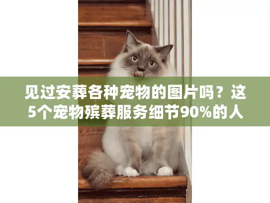 见过安葬各种宠物的图片吗？这5个宠物殡葬服务细节90%的人没注意