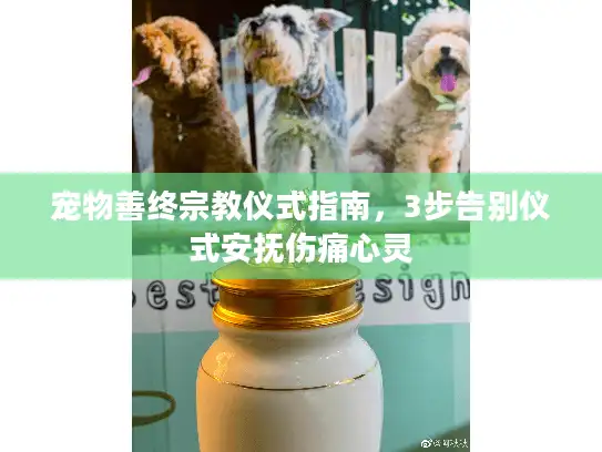 宠物善终宗教仪式指南，3步告别仪式安抚伤痛心灵