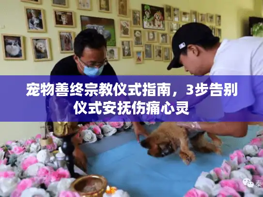宠物善终宗教仪式指南，3步告别仪式安抚伤痛心灵