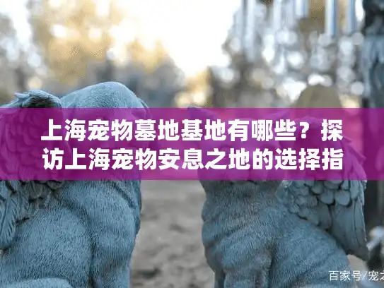 上海宠物墓地基地有哪些？探访上海宠物安息之地的选择指南