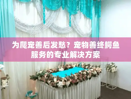 为爬宠善后发愁？宠物善终鳄鱼服务的专业解决方案
