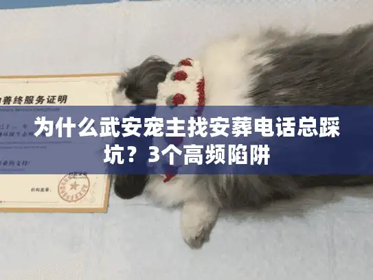 为什么武安宠主找安葬电话总踩坑？3个高频陷阱