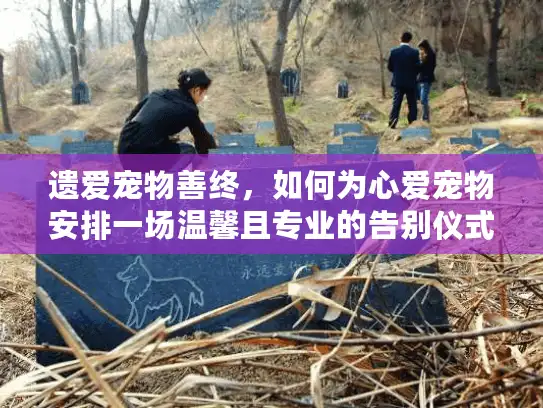 遗爱宠物善终，如何为心爱宠物安排一场温馨且专业的告别仪式？