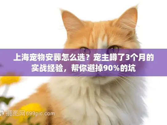 上海宠物安葬怎么选？宠主蹲了3个月的实战经验，帮你避掉90%的坑