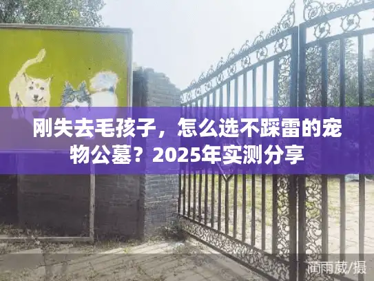 刚失去毛孩子，怎么选不踩雷的宠物公墓？2025年实测分享