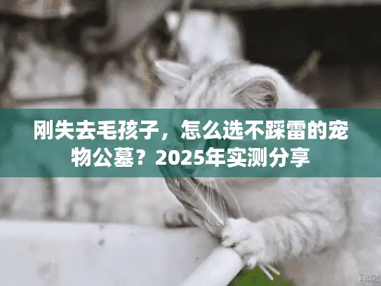 刚失去毛孩子，怎么选不踩雷的宠物公墓？2025年实测分享