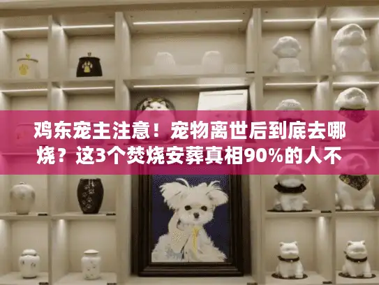 鸡东宠主注意！宠物离世后到底去哪烧？这3个焚烧安葬真相90%的人不知道