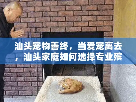 汕头宠物善终，当爱宠离去，汕头家庭如何选择专业殡葬服务？