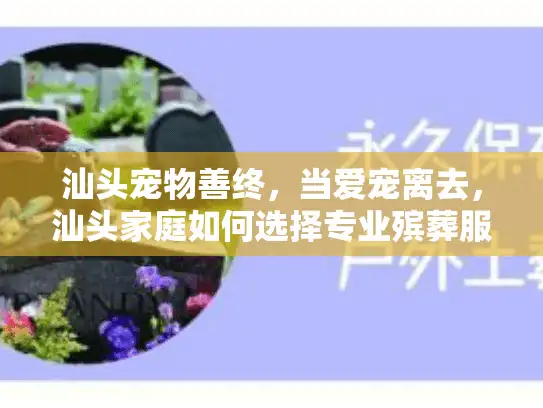 汕头宠物善终，当爱宠离去，汕头家庭如何选择专业殡葬服务？