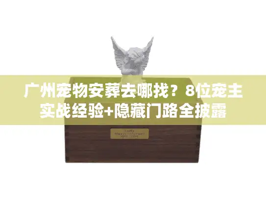 广州宠物安葬去哪找？8位宠主实战经验+隐藏门路全披露