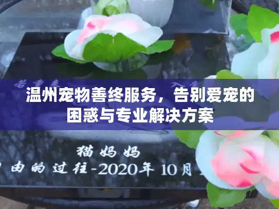 温州宠物善终服务，告别爱宠的困惑与专业解决方案