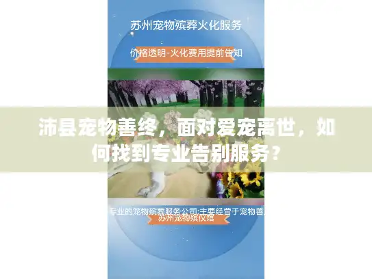 沛县宠物善终，面对爱宠离世，如何找到专业告别服务？