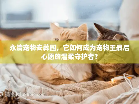 永清宠物安葬园，它如何成为宠物主最后心愿的温柔守护者？