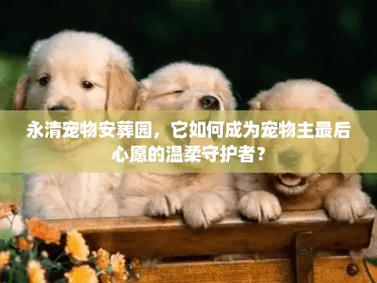 永清宠物安葬园，它如何成为宠物主最后心愿的温柔守护者？