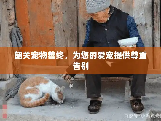 韶关宠物善终，为您的爱宠提供尊重告别