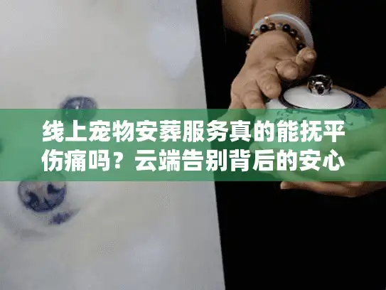 线上宠物安葬服务真的能抚平伤痛吗？云端告别背后的安心选择