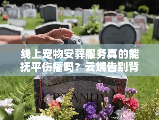 线上宠物安葬服务真的能抚平伤痛吗？云端告别背后的安心选择