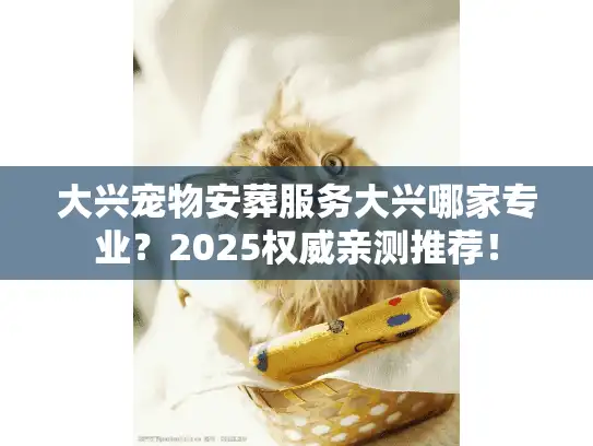 大兴宠物安葬服务大兴哪家专业？2025权威亲测推荐！